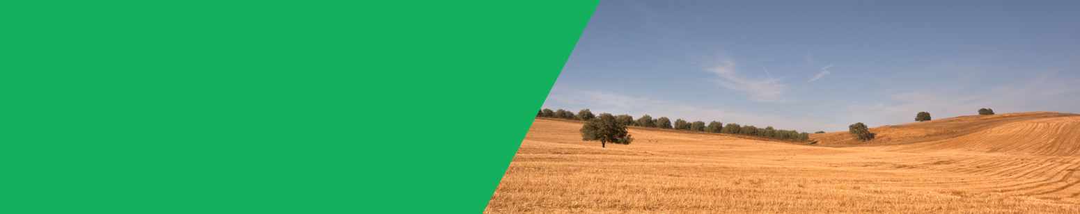 Minimização Efeitos da Seca 2017 - Alimentação animal Minimização Efeitos da Seca 2017 - Alimentação animal